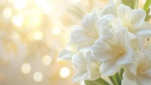 Penny Sherwood Obituary, Cause of Death - Community Mourns Beloved Penny Sherwood
